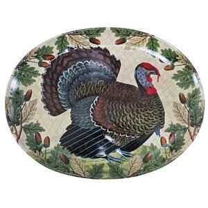 NWT John Derian 2024 Turkey Stoneware Serving Platter – Holiday Collectible